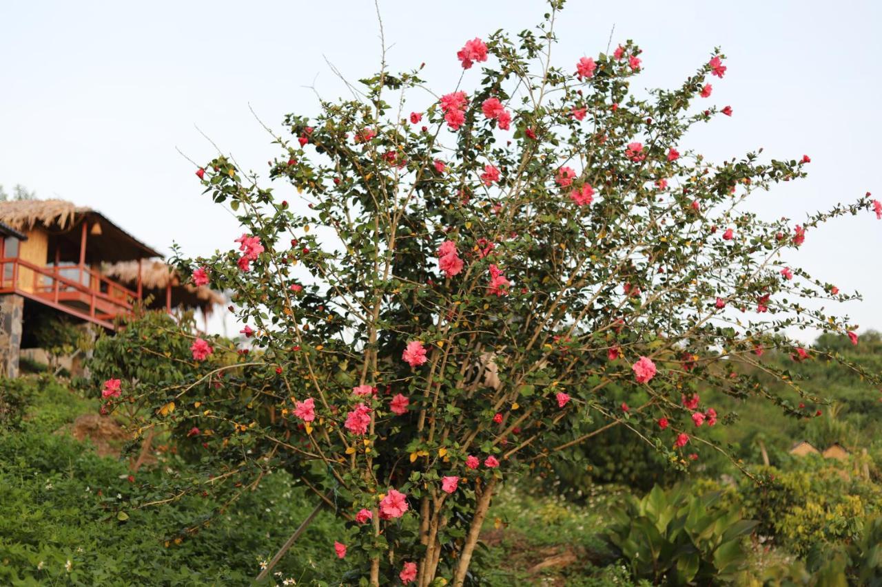 Appartamento Moc Chau Peachy Garden Esterno foto