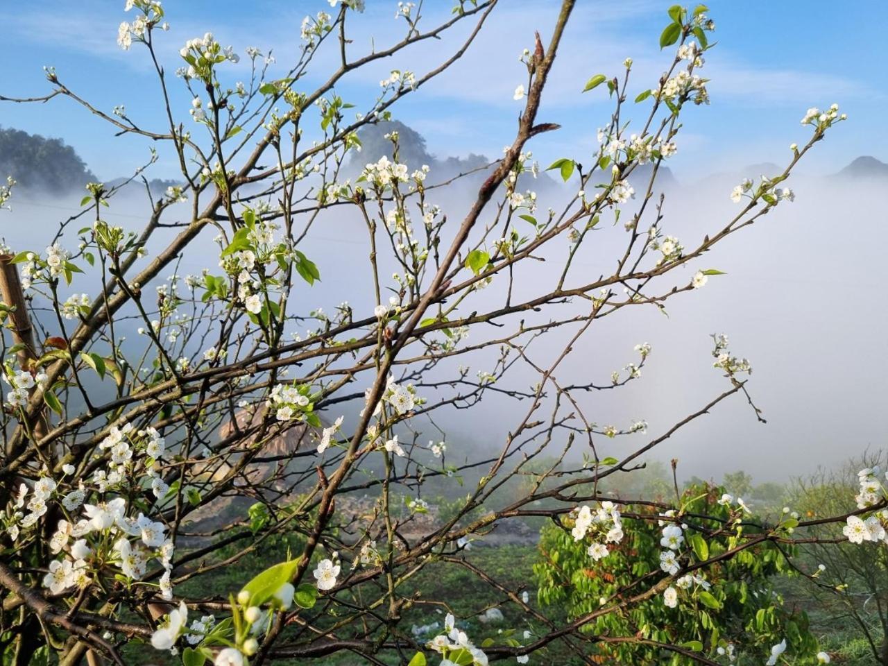 Appartamento Moc Chau Peachy Garden Esterno foto